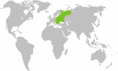 Eastern Europe